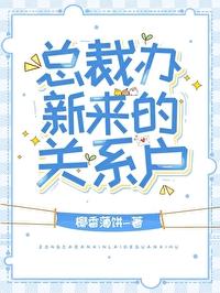 总裁办新来的关系户TXT奇书网