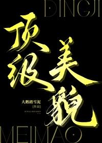 顶级美貌全文免费阅读
