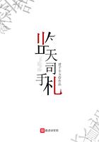 天墓手札结局