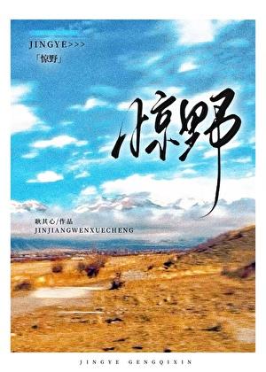 惊野耿其心