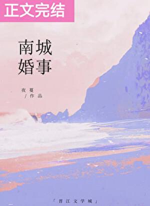 南城婚事傅沉苏暖