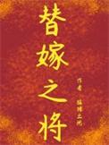 替嫁之将txt