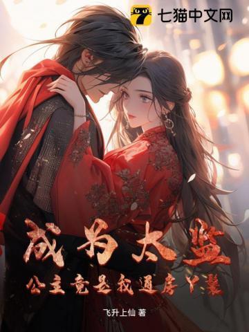 公主与太监文