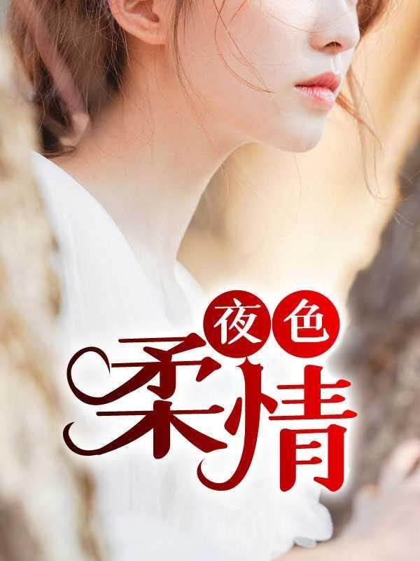 夜色温柔歌曲