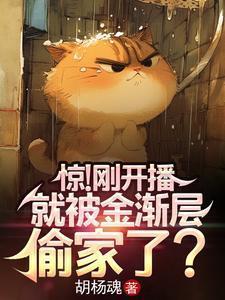 金渐层太可爱了