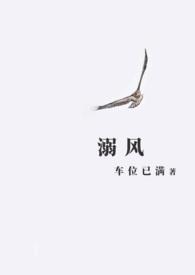 溺风车位已满讲的什么