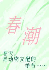 春潮奶酪