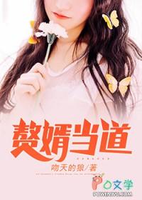 赘婿当道短剧免费观看