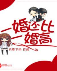 一婚还比一婚高txt