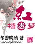 红楼遗 梦的