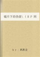 hp镜片下的伪装在哪