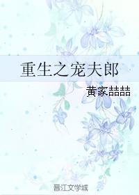 重生之宠夫郎免费阅读