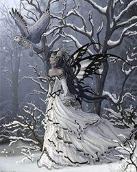 林寿曹雪蓉断更了吗