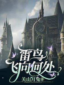 雷鸟是啥