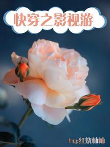 影视快穿晋江