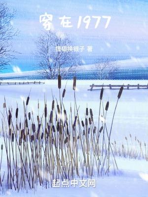 穿在1977陈凡TXT
