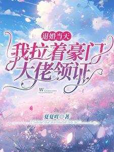 闪婚秦少