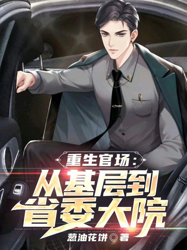 从基层到省委书记的官场