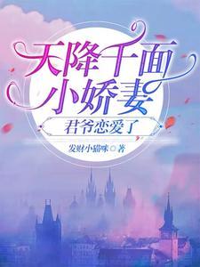 天降小妻霸道完整版全文免费阅读