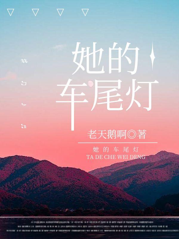 她的车尾灯无防盗