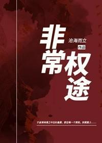 非常权途TXT全文
