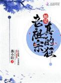 宋致远