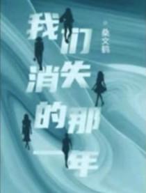 我们消失的那一年桑文鹤