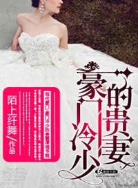 豪门贵妻冷心帝少宠妻无度无弹窗