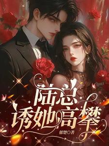 陆总宠妻属第一全文免费阅读