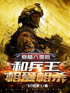看了又看续集