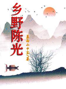 乡村野光现在怎么样了