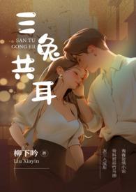 三兔共耳藻井在第几窟